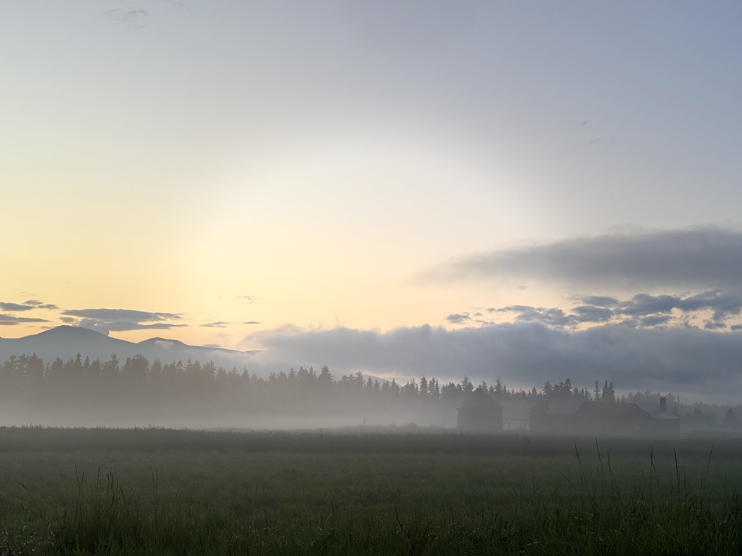 The Replacement of Israel