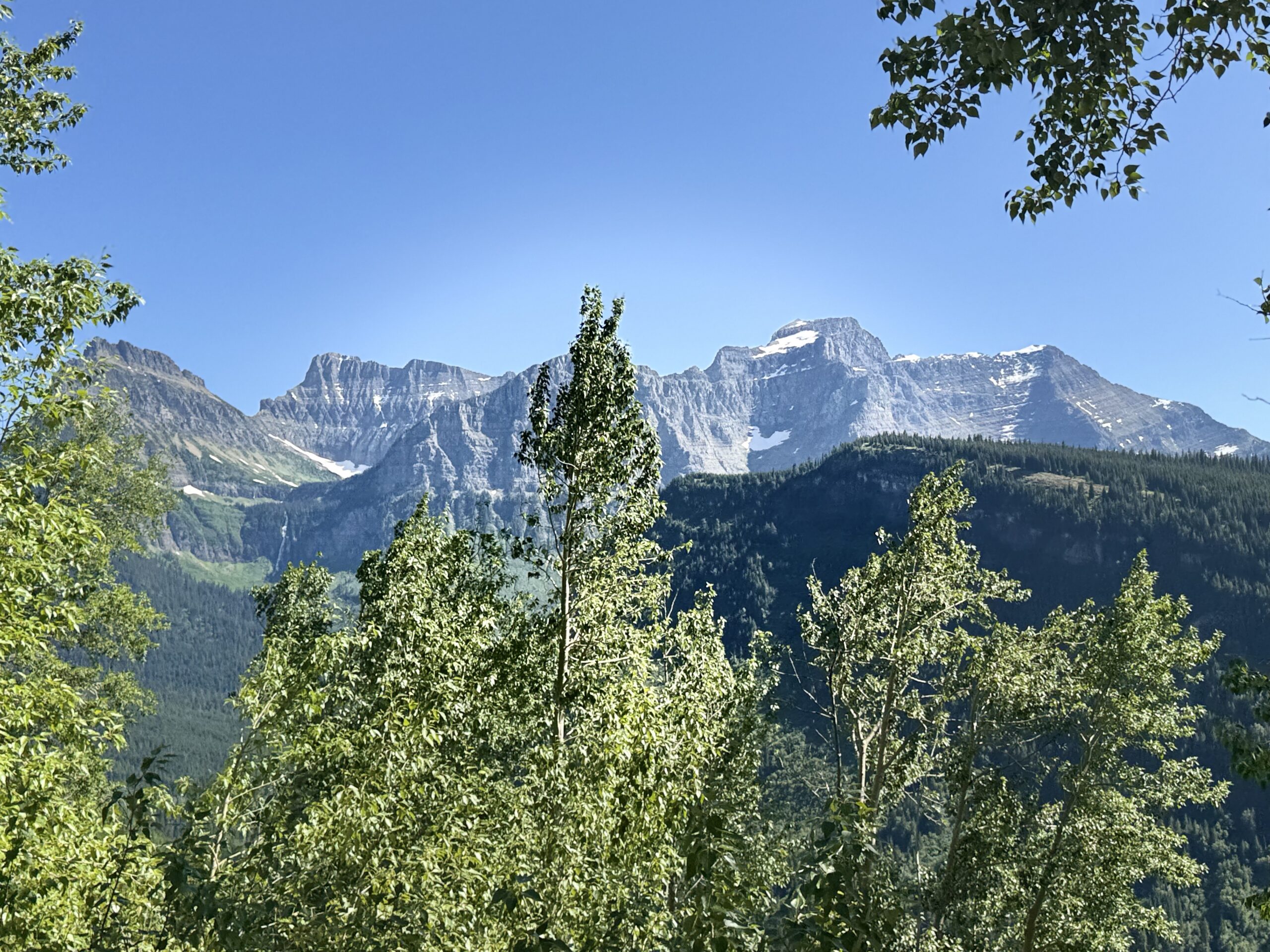 These Are Tough Times