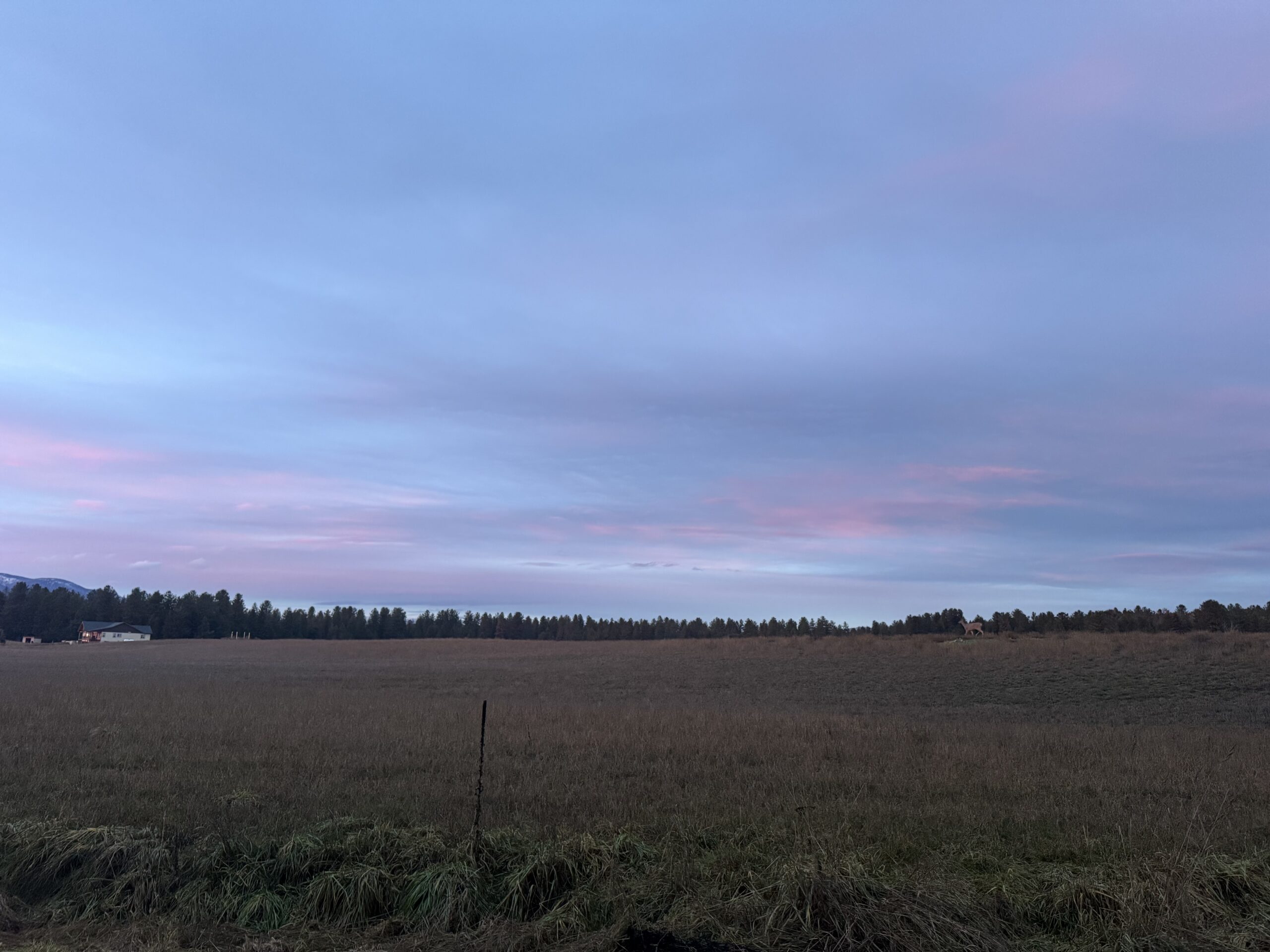 No Room For Cowards In The Kingdom