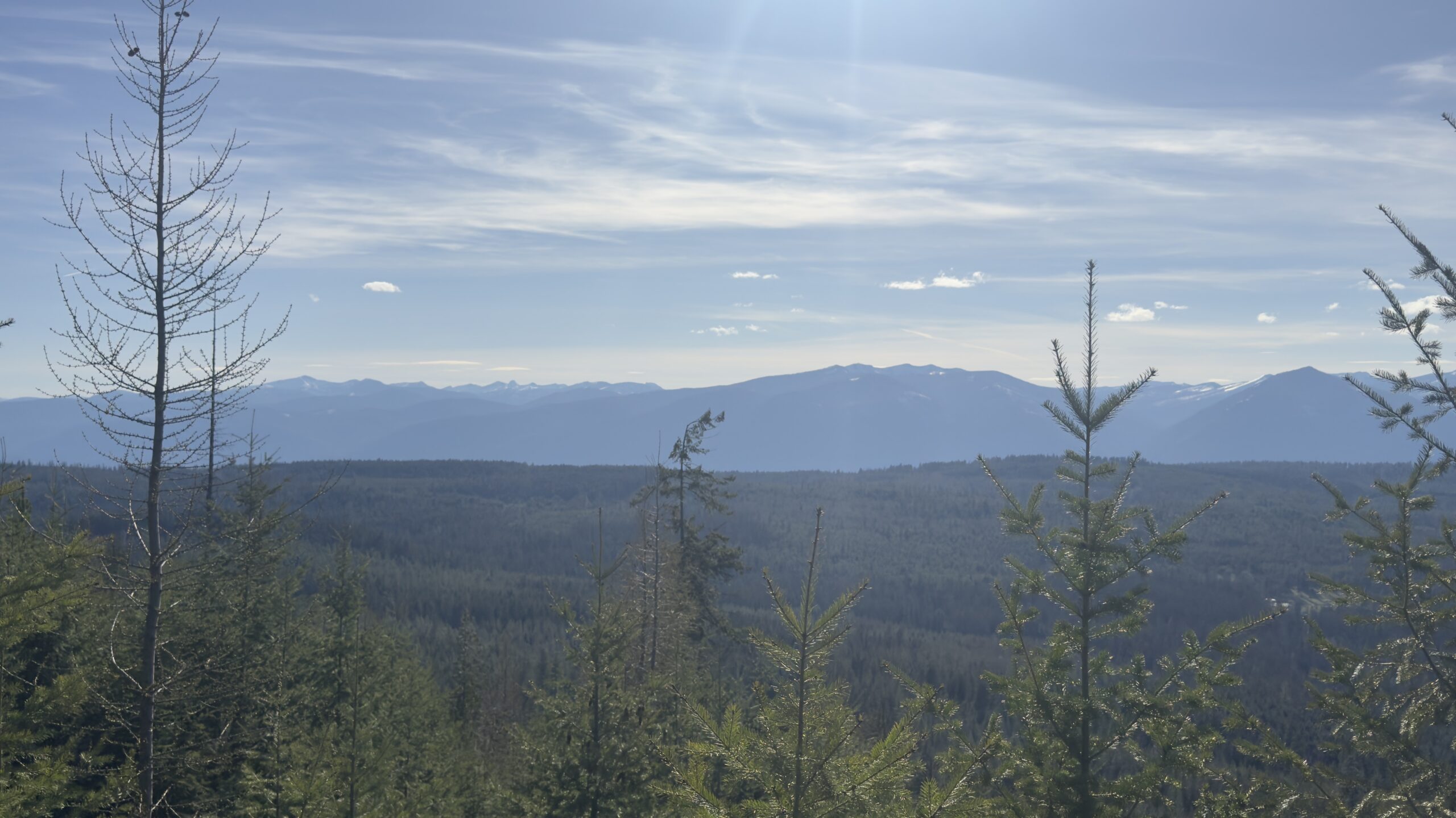 The Effect of the Lord’s Supper